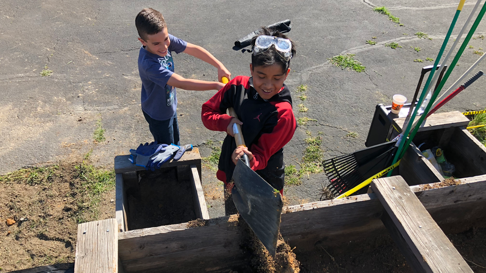 Students enjoying their time working in the garden beds.