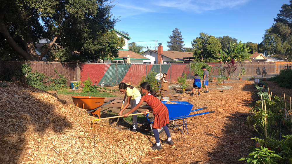 Students help distribute mulch throughout the garden. 