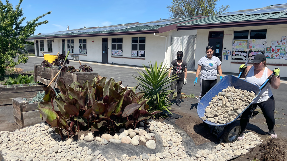 Teachers help landscape the garden areas around the school. 