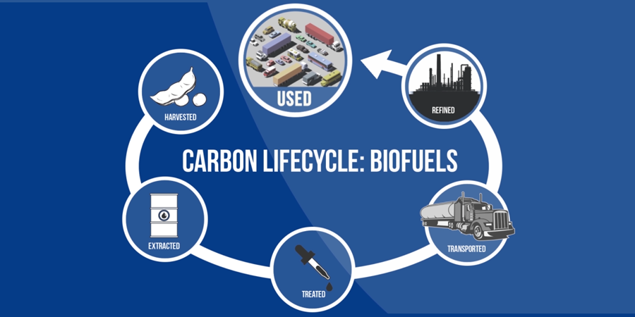 Thumbnail Carbon Intensity